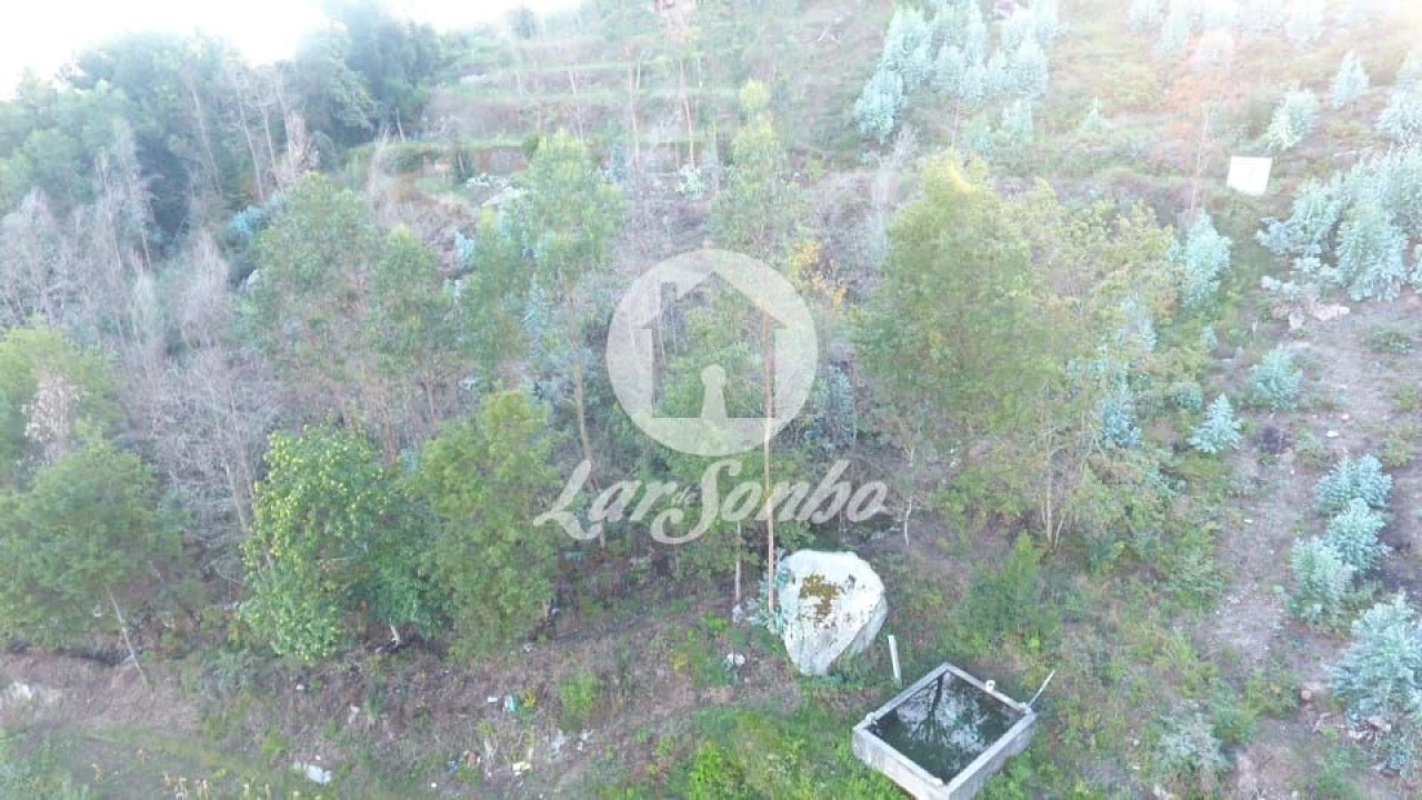 Terreno Agricola ou Rústico para Venda em Joane Foto 5