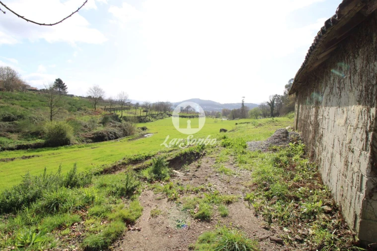 Terreno Agricola ou Rústico para Venda em Joane Foto 1