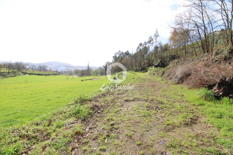 Terreno Agricola ou Rústico para Venda em Joane Foto 4