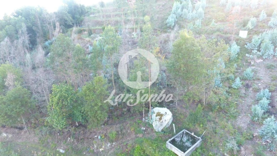 Terreno Agricola ou Rústico para Venda em Joane Foto 5