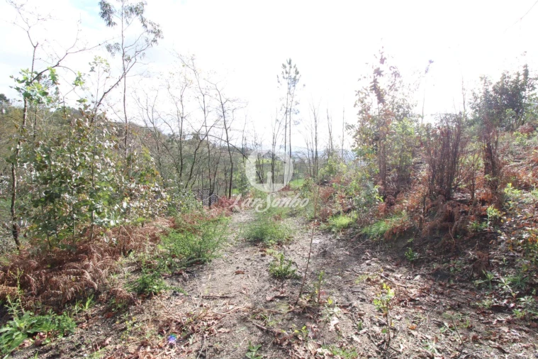 Terreno Agricola ou Rústico para Venda em Joane Foto 6