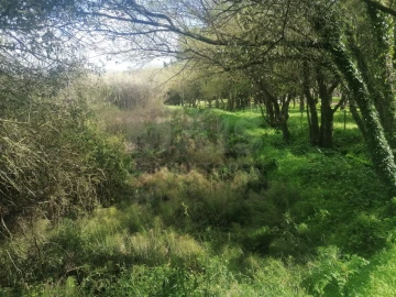 Terreno para Venda em Arruda dos Vinhos