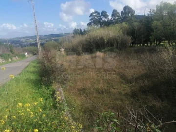 Terreno para Venda em Arruda dos Vinhos