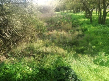 Terreno para Venda em Arruda dos Vinhos