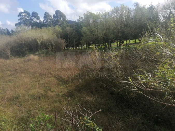 Terreno para Venda em Arruda dos Vinhos Foto 8