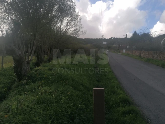 Terreno para Venda em Arruda dos Vinhos Foto 6