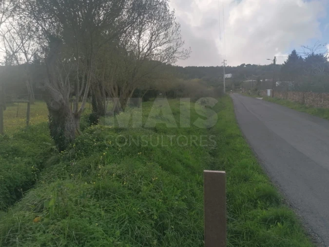 Terreno para Venda em Arruda dos Vinhos Foto 2