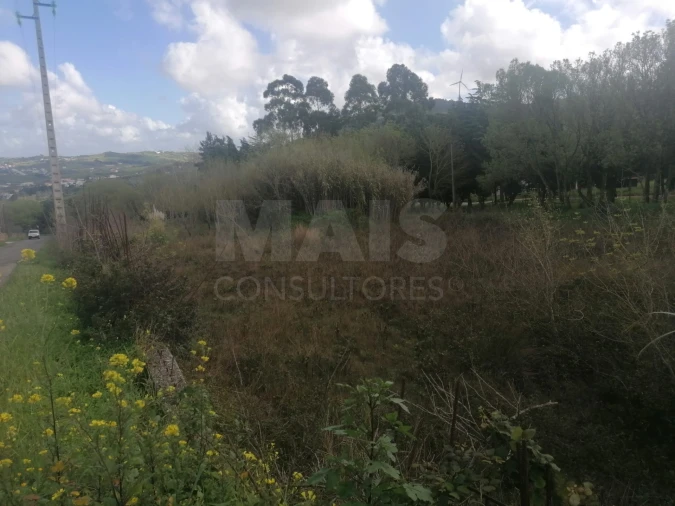 Terreno para Venda em Arruda dos Vinhos Foto 12