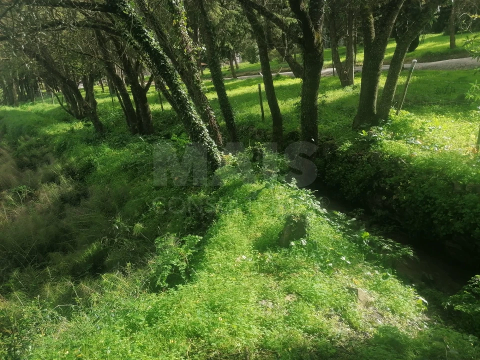 Terreno para Venda em Arruda dos Vinhos Foto 5