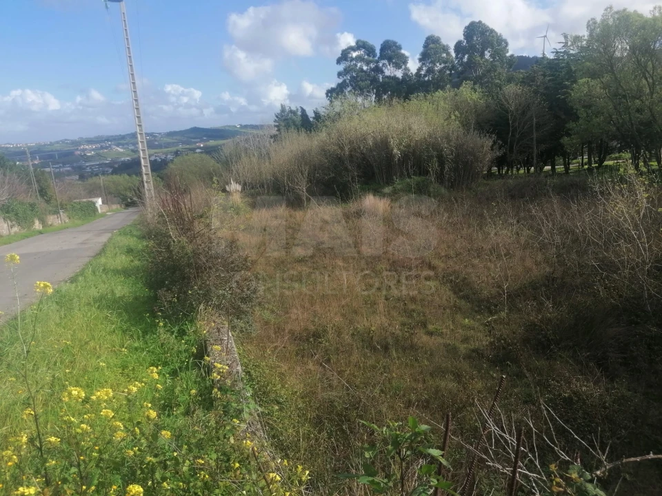 Terreno para Venda em Arruda dos Vinhos Foto 3