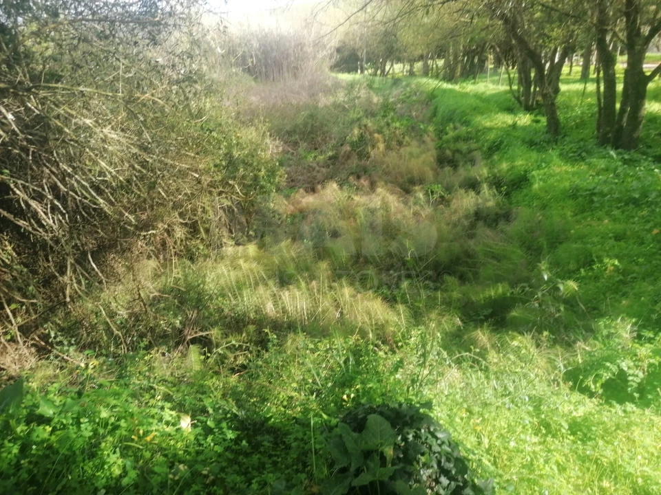 Terreno para Venda em Arruda dos Vinhos Foto 9