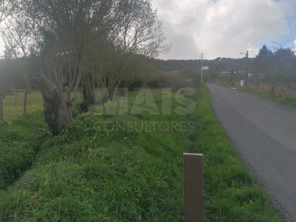 Terreno para Venda em Arruda dos Vinhos Foto 2