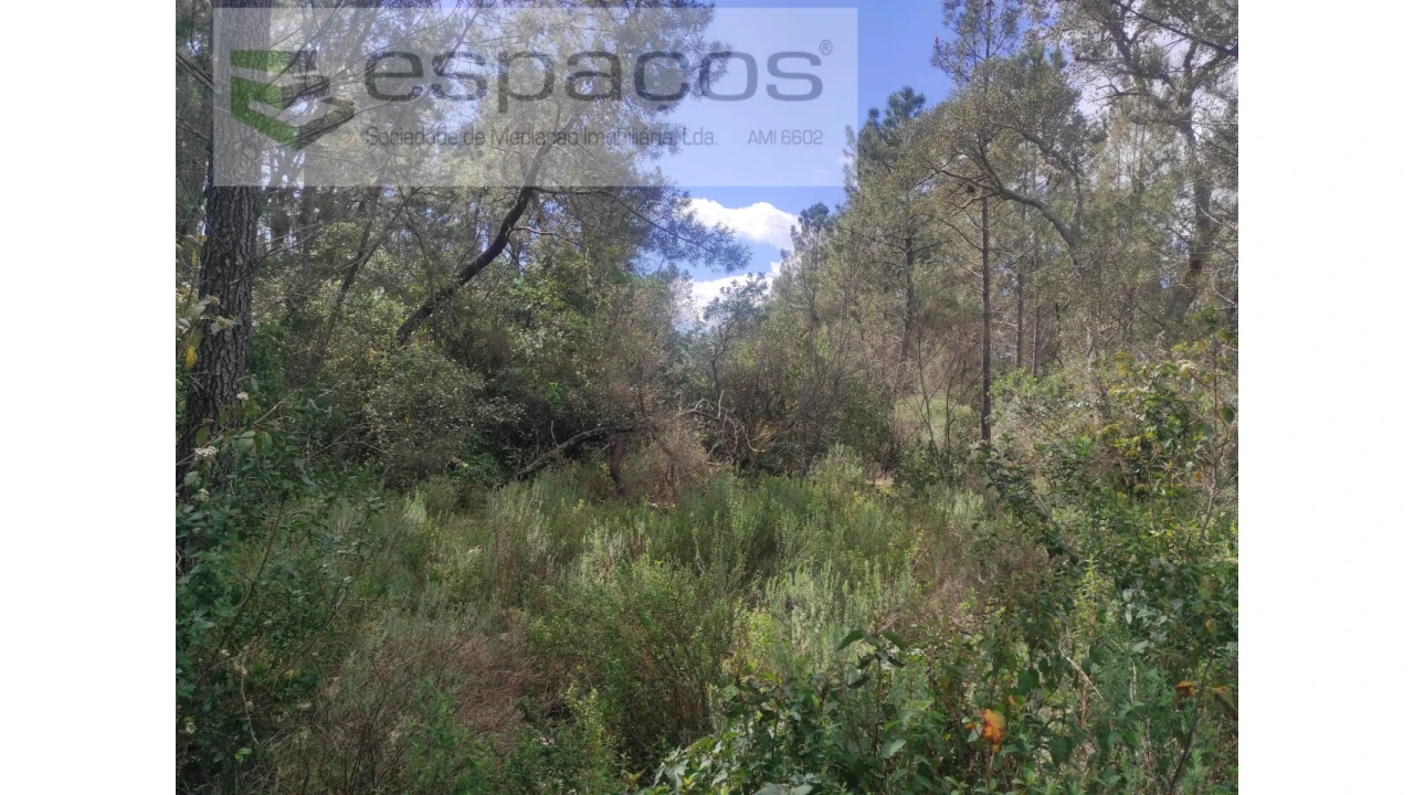 Terreno Agricola ou Rústico para Venda em Castelo Branco Foto 8