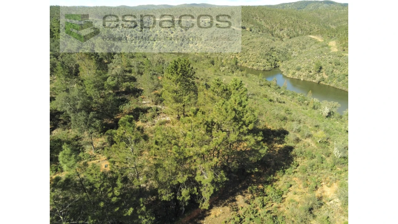 Terreno Agricola ou Rústico para Venda em Castelo Branco Foto 1