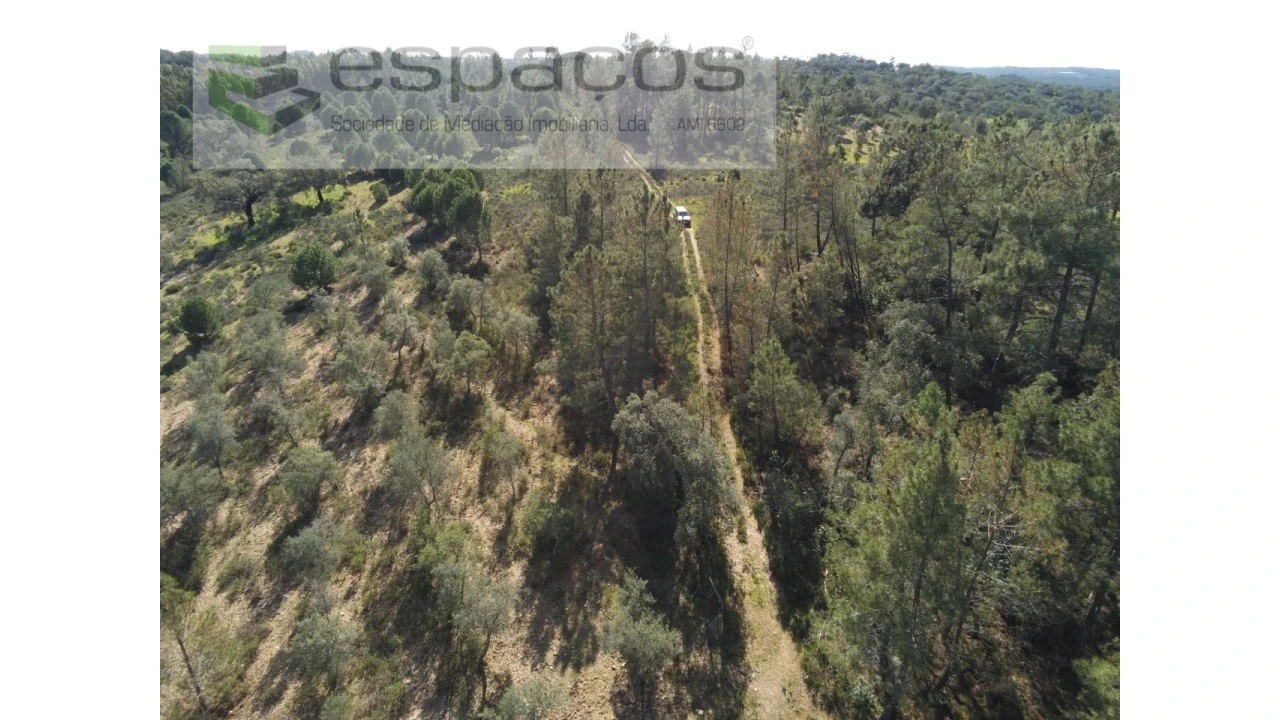 Terreno Agricola ou Rústico para Venda em Castelo Branco Foto 12