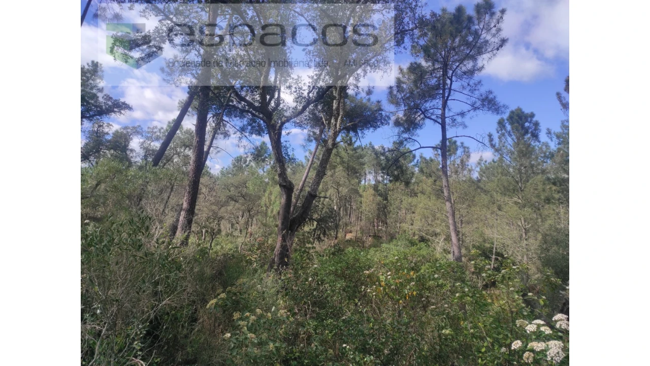 Terreno Agricola ou Rústico para Venda em Castelo Branco Foto 13