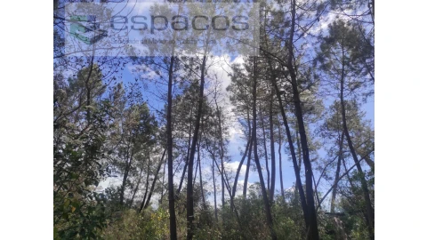 Terreno Agricola ou Rústico para Venda em Castelo Branco
