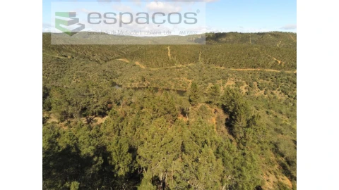 Terreno Agricola ou Rústico para Venda em Castelo Branco