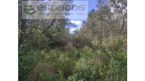 Terreno Agricola ou Rústico para Venda em Castelo Branco