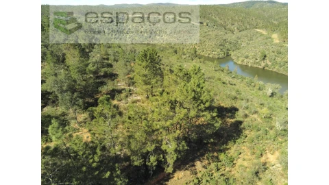 Terreno Agricola ou Rústico para Venda em Castelo Branco