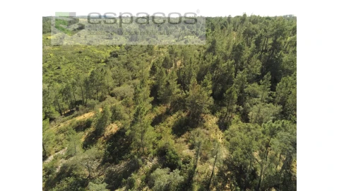 Terreno Agricola ou Rústico para Venda em Castelo Branco