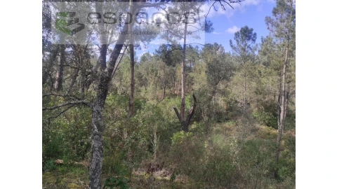 Terreno Agricola ou Rústico para Venda em Castelo Branco