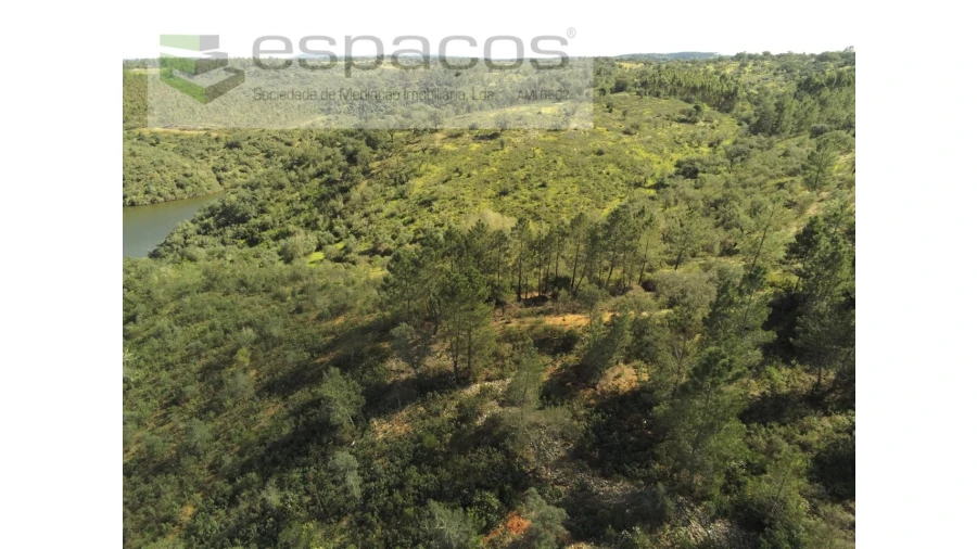Terreno Agricola ou Rústico para Venda em Castelo Branco Foto 4