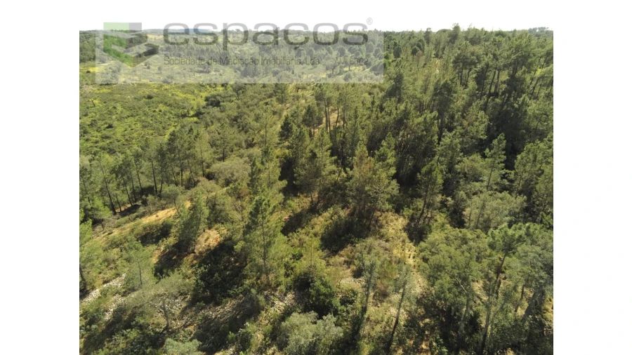 Terreno Agricola ou Rústico para Venda em Castelo Branco Foto 10