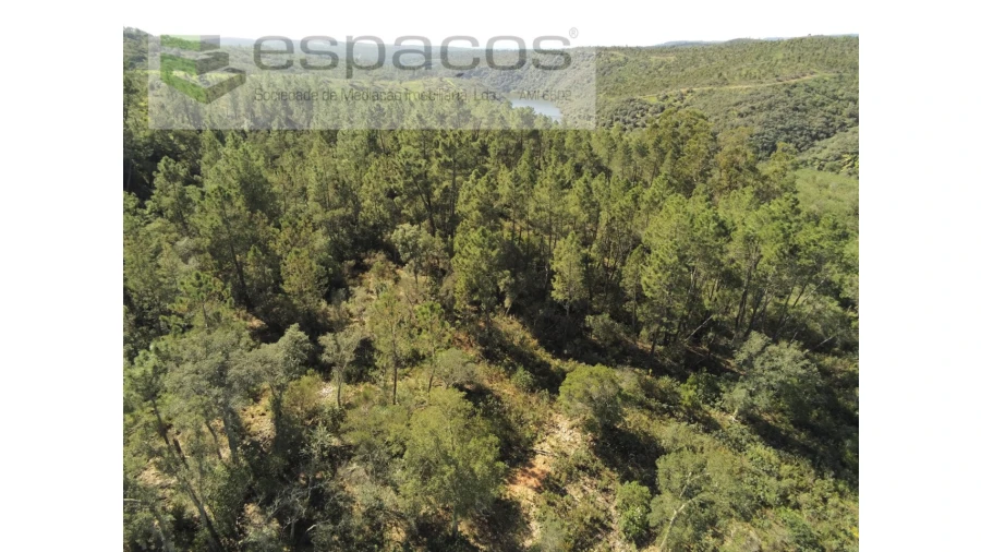Terreno Agricola ou Rústico para Venda em Castelo Branco Foto 11