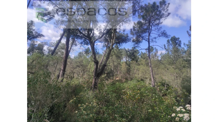 Terreno Agricola ou Rústico para Venda em Castelo Branco Foto 13