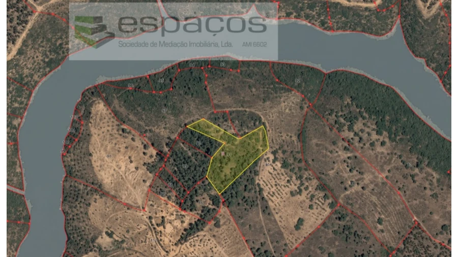 Terreno Agricola ou Rústico para Venda em Castelo Branco Foto 15
