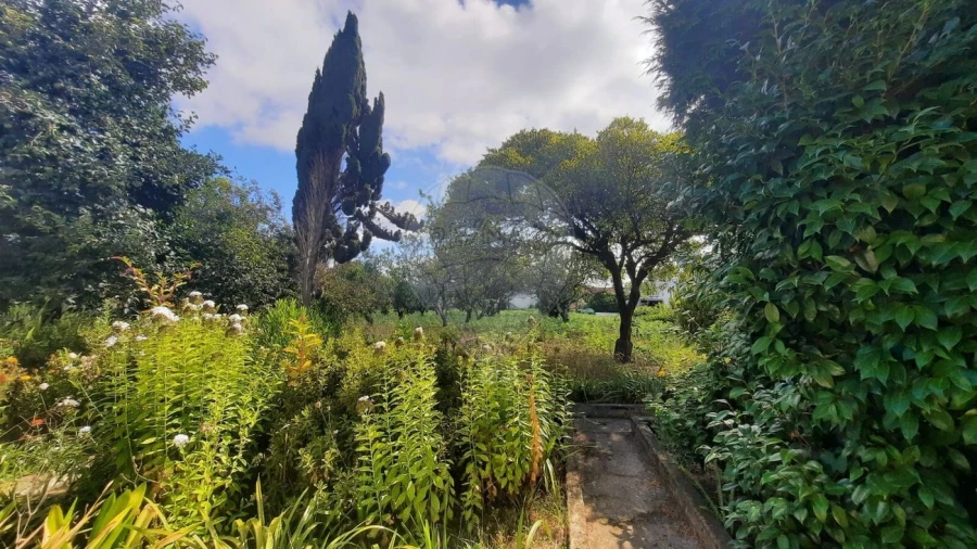 Moradia T4 para Venda em São Paio de Oleiros Foto 31