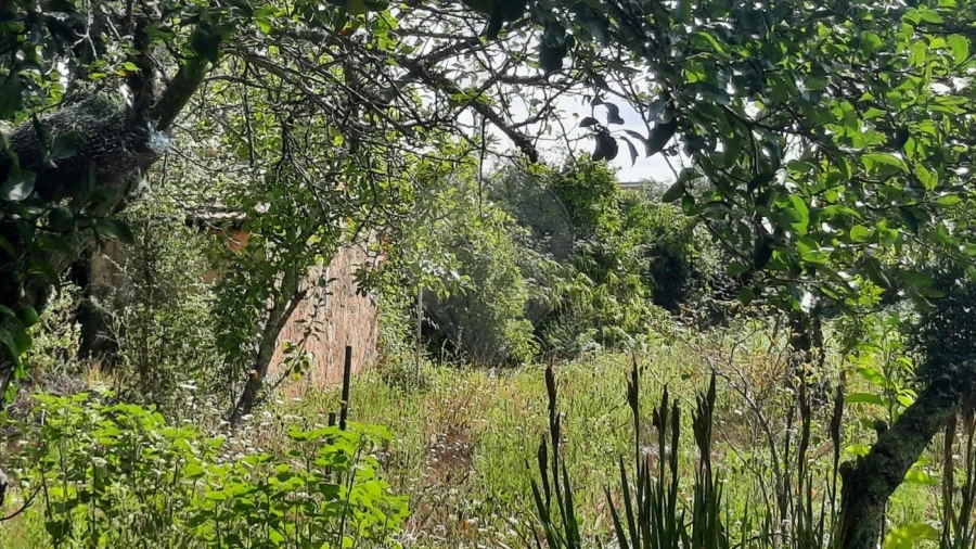 Moradia T4 para Venda em São Paio de Oleiros Foto 35