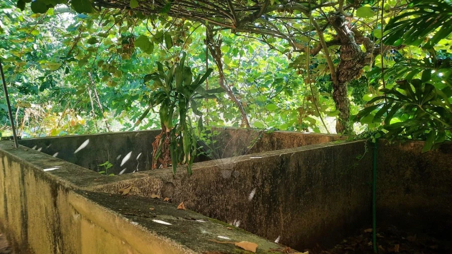 Moradia T4 para Venda em São Paio de Oleiros Foto 36