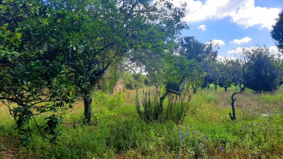 Moradia T4 para Venda em São Paio de Oleiros Foto 37