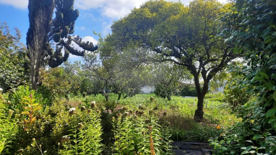 Moradia T4 para Venda em São Paio de Oleiros Foto 42