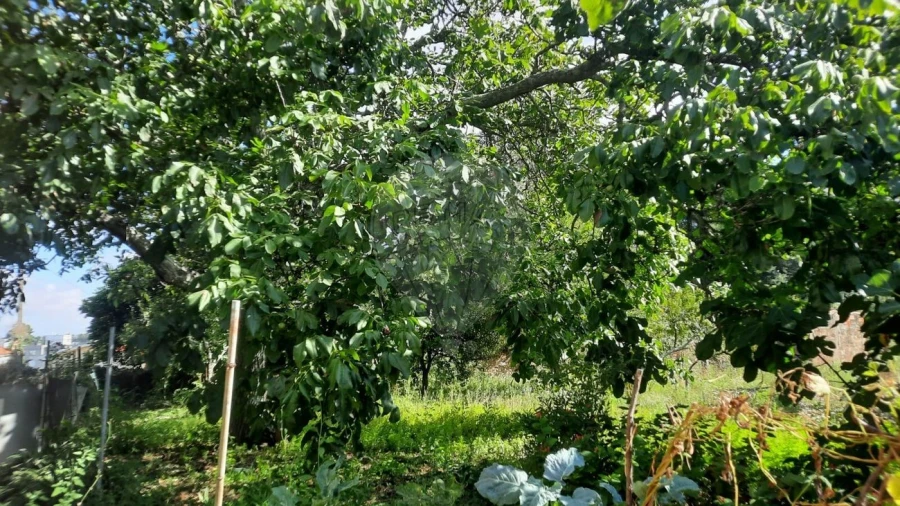 Moradia T4 para Venda em São Paio de Oleiros Foto 39