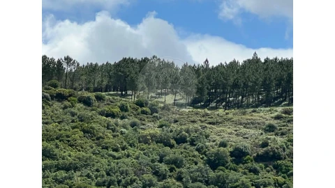 Terreno para Venda em Arruda dos Vinhos