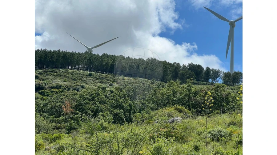 Terreno para Venda em Arruda dos Vinhos Foto 5