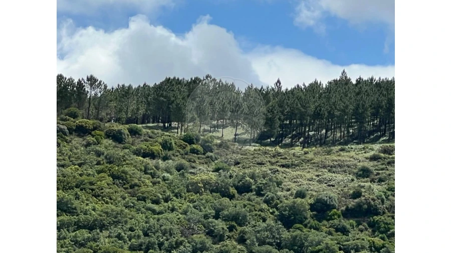 Terreno para Venda em Arruda dos Vinhos Foto 6