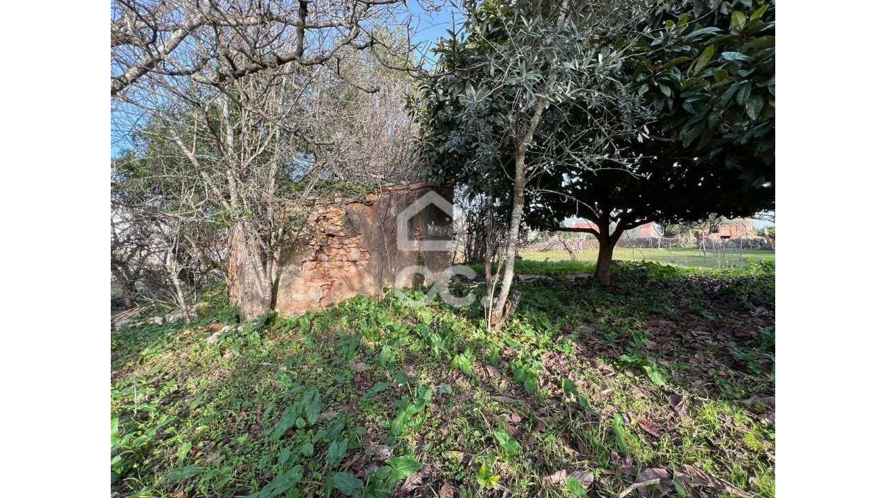 Moradia T2 para Venda em Degracias e Pombalinho Foto 11