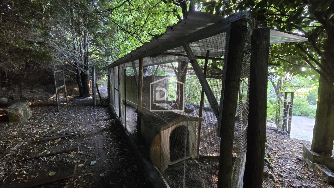 Moradia T4 para Venda em Gouveia (São Pedro e São Julião) Foto 55