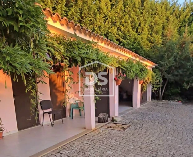 Moradia T4 para Venda em Gouveia (São Pedro e São Julião) Foto 38