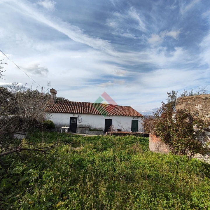 Quinta T3 para Venda em São Salvador da Aramenha Foto 7