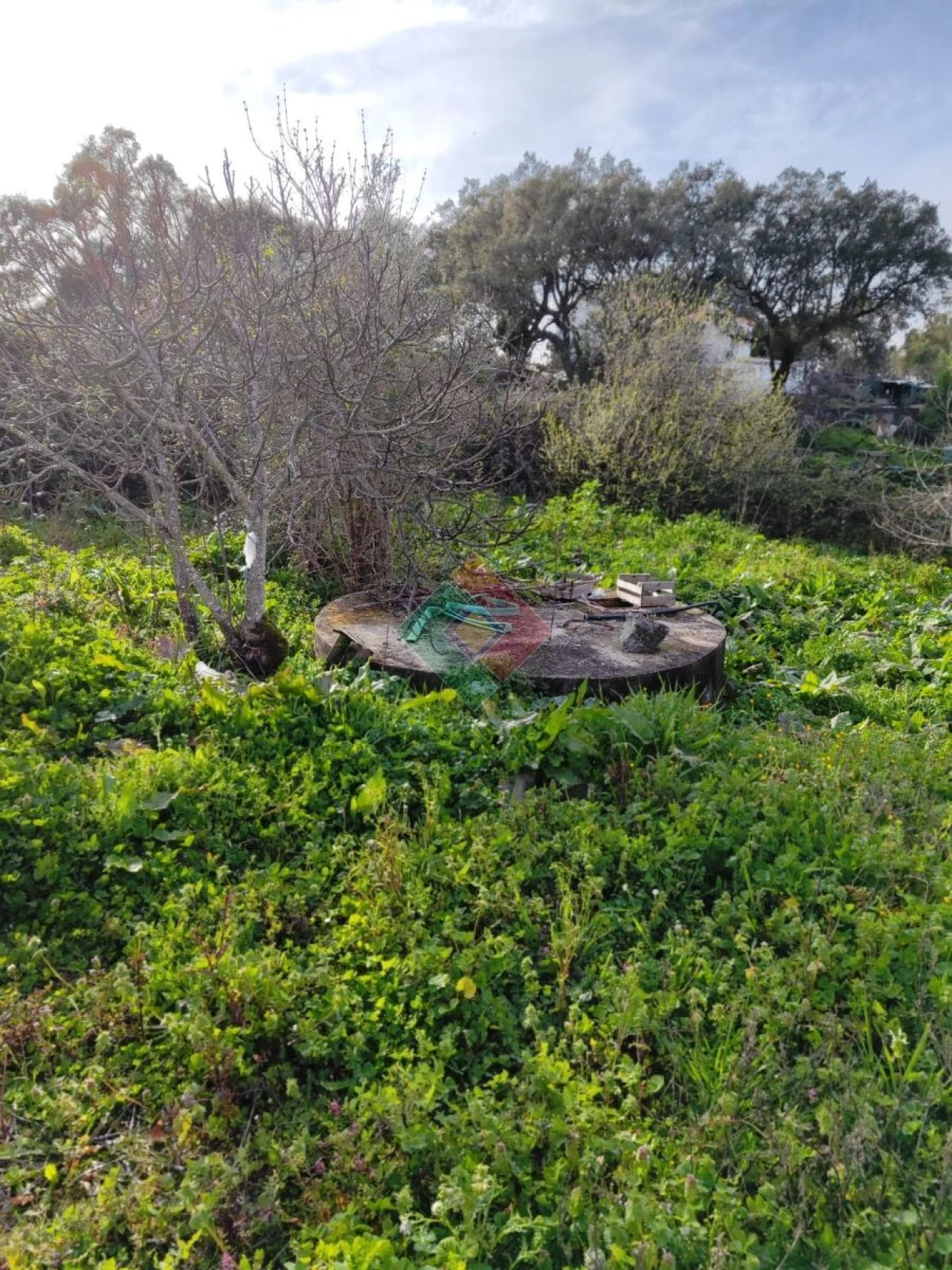 Quinta T3 para Venda em São Salvador da Aramenha Foto 9
