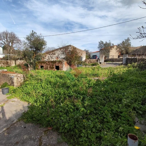Quinta T3 para Venda em São Salvador da Aramenha Foto 12