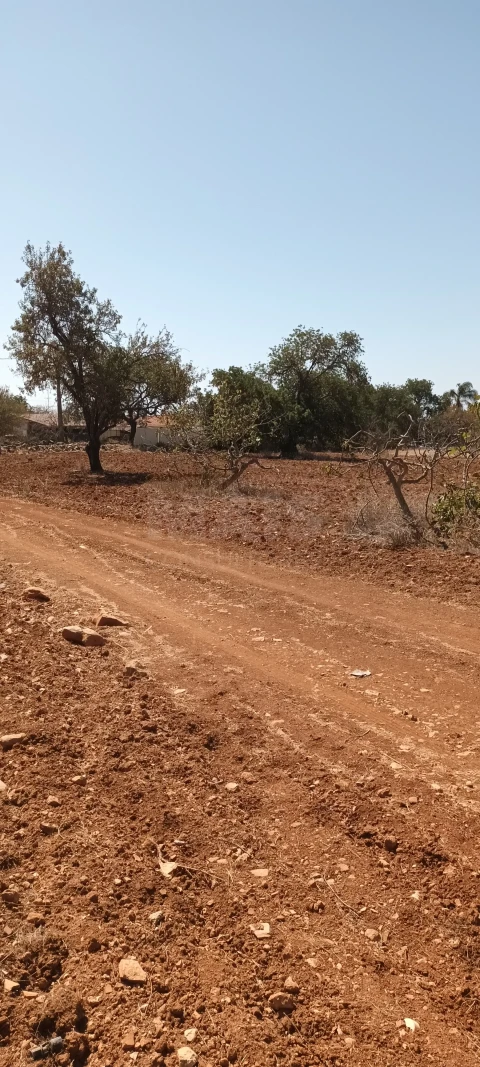 Terreno para Venda em Ferreiras