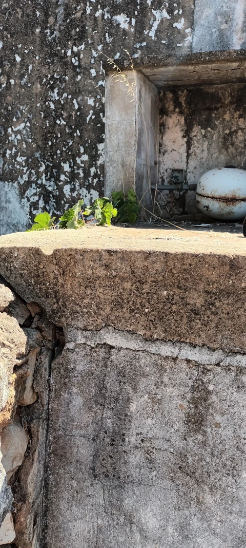 Terreno para Venda em Ferreiras