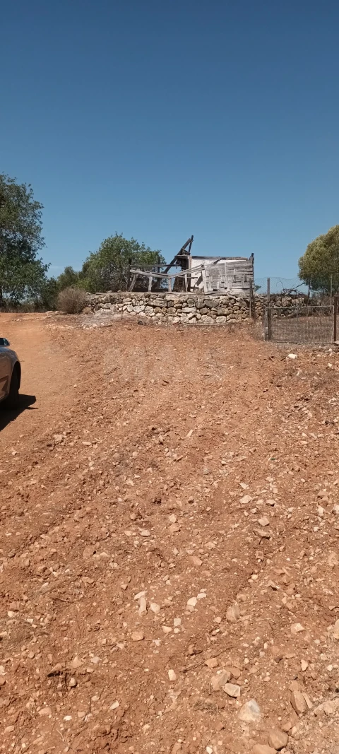 Terreno para Venda em Ferreiras