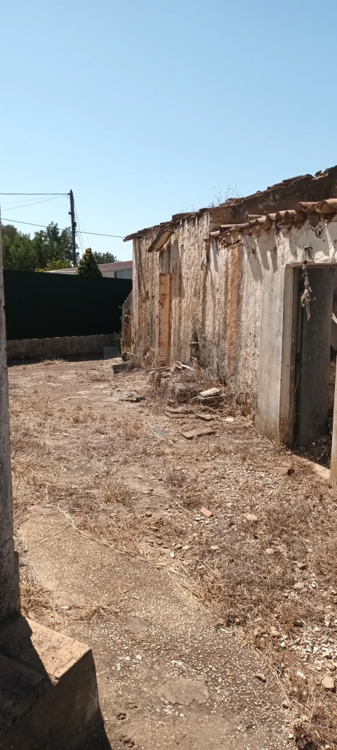 Terreno para Venda em Ferreiras